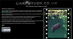 Desktop Screenshot of carpstudy.co.uk