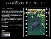 Tablet Screenshot of carpstudy.co.uk